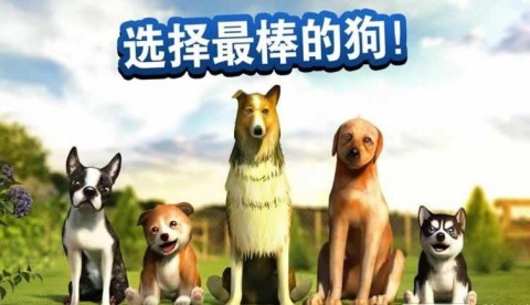 小狗模拟器_小狗模拟器游戏下载_小狗模拟器