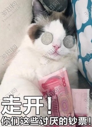 被金钱蒙蔽了双眼猫咪表情包app