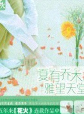 夏有乔木雅望天堂小说下载_夏有乔木雅望天堂