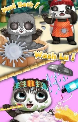 照顾熊猫宝宝游戏官方安卓版_照顾熊猫宝宝游