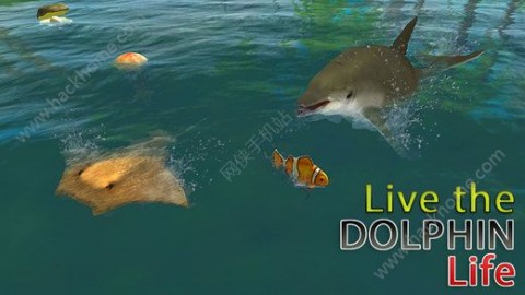 海豚模拟器3D游戏下载_海豚模拟器3D游戏安