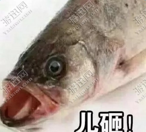 喊儿砸表情包下载_喊儿砸表情包app官方下载_喊儿砸表情包手机版下载