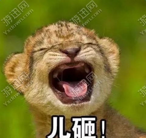 喊儿砸表情包下载_喊儿砸表情包app官方下载_喊儿砸表情包手机版下载