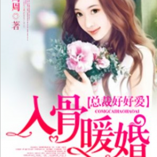 入骨暖婚总裁好好爱小说免费阅读全文_入骨暖