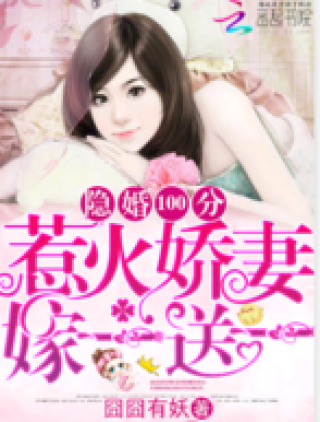 隐婚100分惹火娇妻嫁一送txt全集|全文|完本下载
