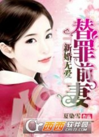 新婚无爱替罪前妻小说免费阅读全文_新婚无爱