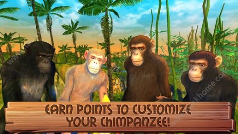黑猩猩猴模拟器3D汉化中文版下载_黑猩猩猴模