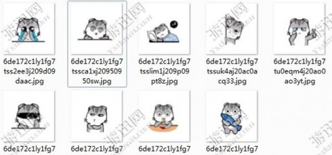 折耳猫动画表情下载_折耳猫表情表情app动画包的滚动态我的好图片