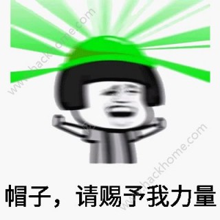 绿帽子表情包软件_绿帽子表情包软件下载v1.0