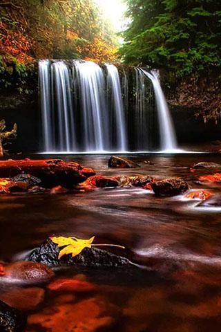 大自然的声音(Natural Sounds)下载_大自然的声音(Natural Sounds)app官方下载_大自然的声音(Natural Sounds)手机版下载