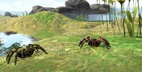 蜘蛛模拟器3D无限金币版下载_蜘蛛模拟器3D