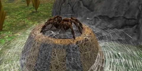 蜘蛛模拟器3D无限金币版下载_蜘蛛模拟器3D