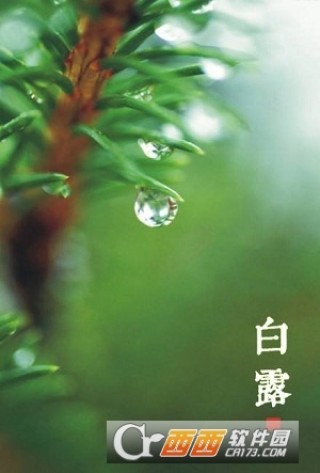 2017二十四节气白露手抄报图片大全下载