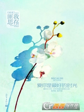 爱你隔着时光_爱你是最好的时光结局